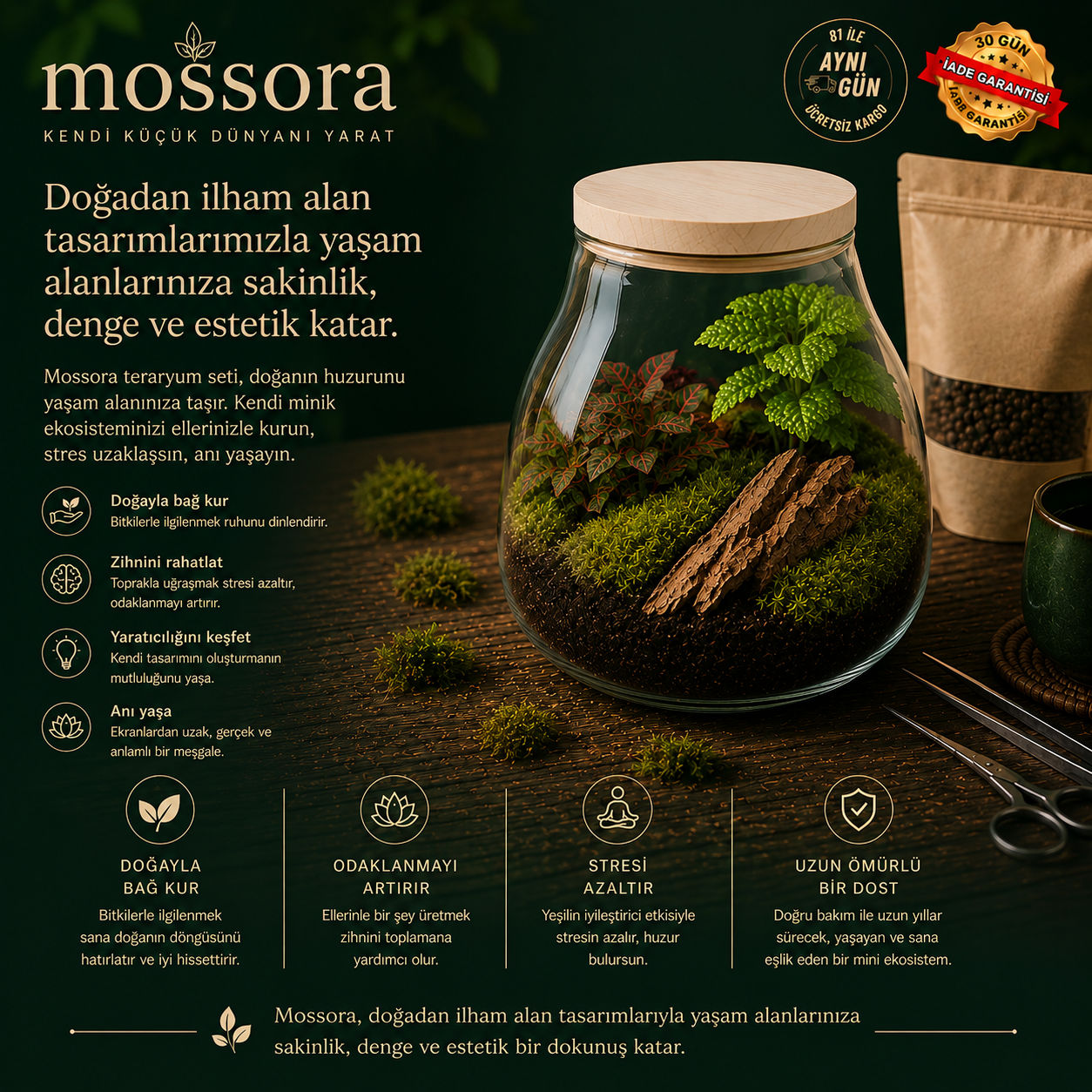 Mossora Terra™ | Kendin Yap Teraryum Seti