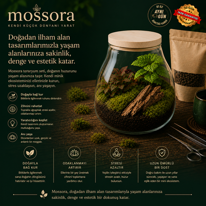 Mossora Terra™ | Kendin Yap Teraryum Seti