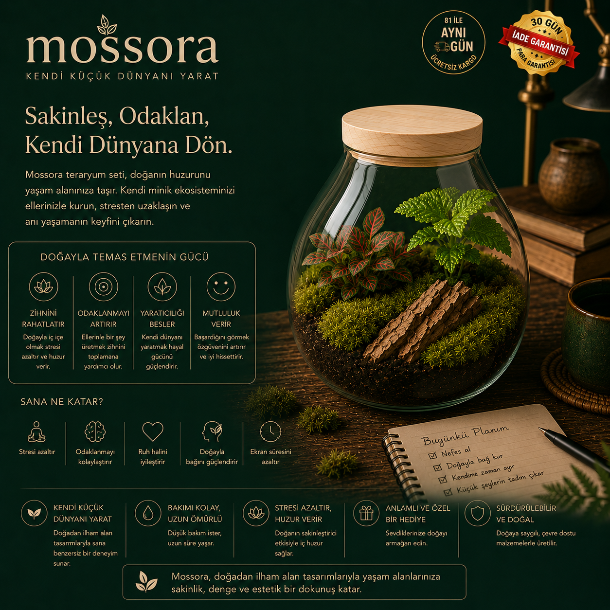 Mossora Terra™ | Kendin Yap Teraryum Seti