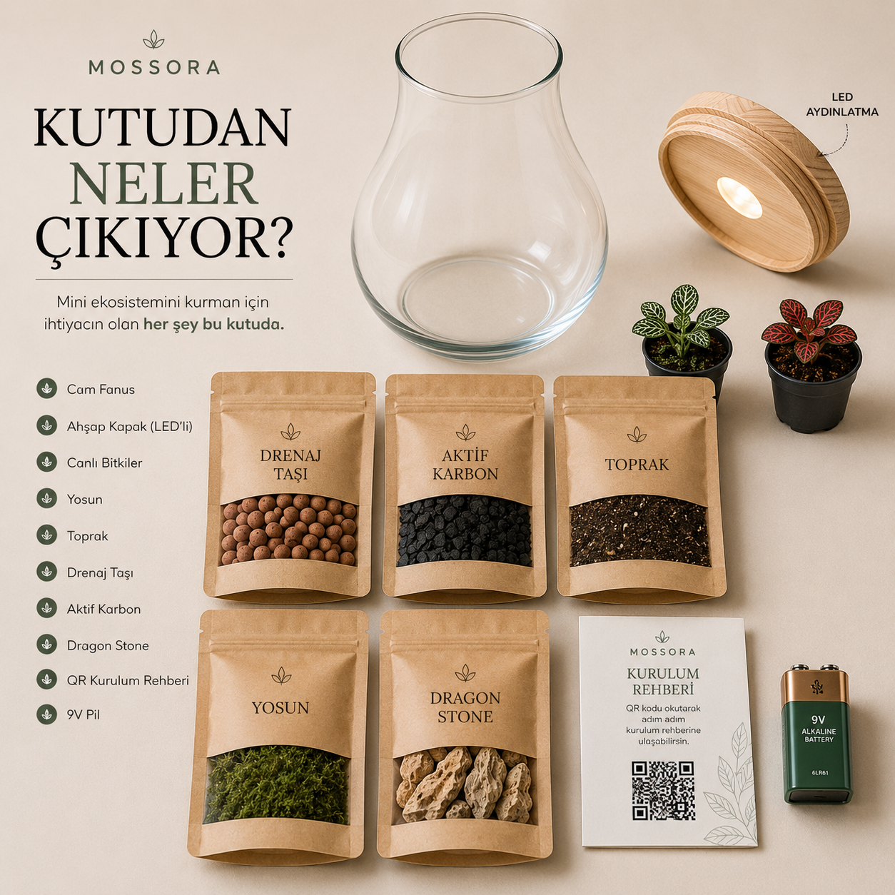 Mossora Terra™ | Kendin Yap Teraryum Seti