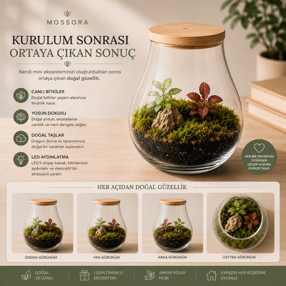 Mossora Terra™ | Kendin Yap Teraryum Seti
