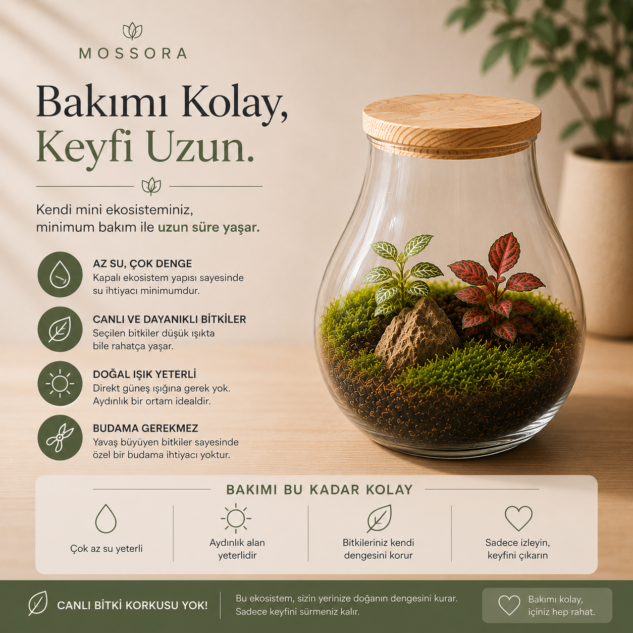 Mossora Terra™ | Kendin Yap Teraryum Seti
