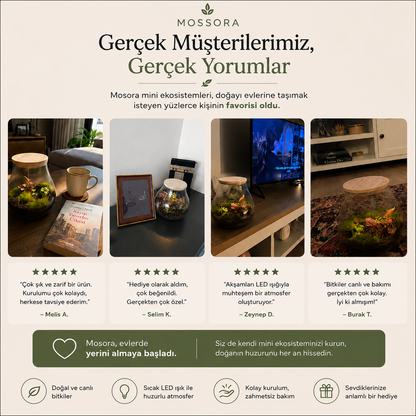 Mossora Terra™ | Kendin Yap Teraryum Seti